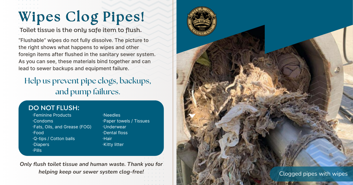 Wipes Clog Pipes flyer